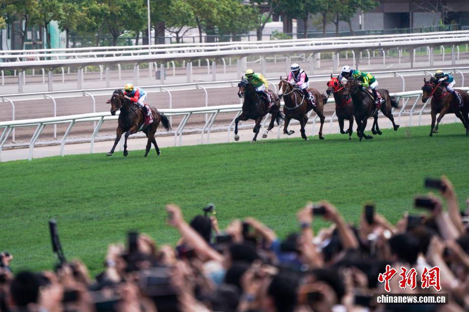 香港赛马“嘉应高升”缔造20场连胜纪录