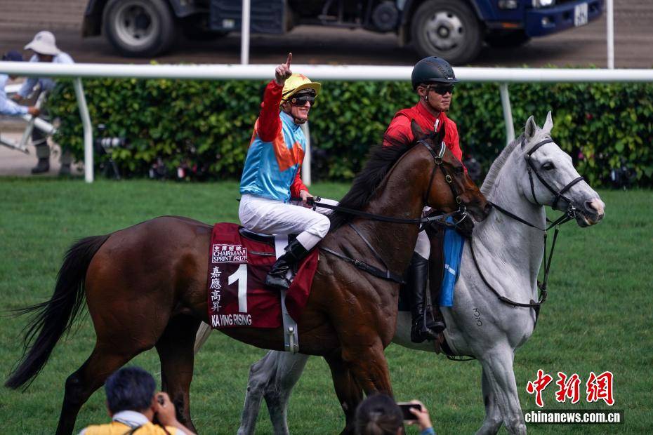 香港赛马“嘉应高升”缔造20场连胜纪录