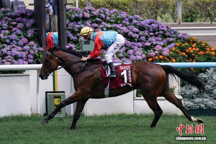 香港冠军赛马日吸引逾4.1万人次入场 赛驹“嘉应高升”创20连胜纪录