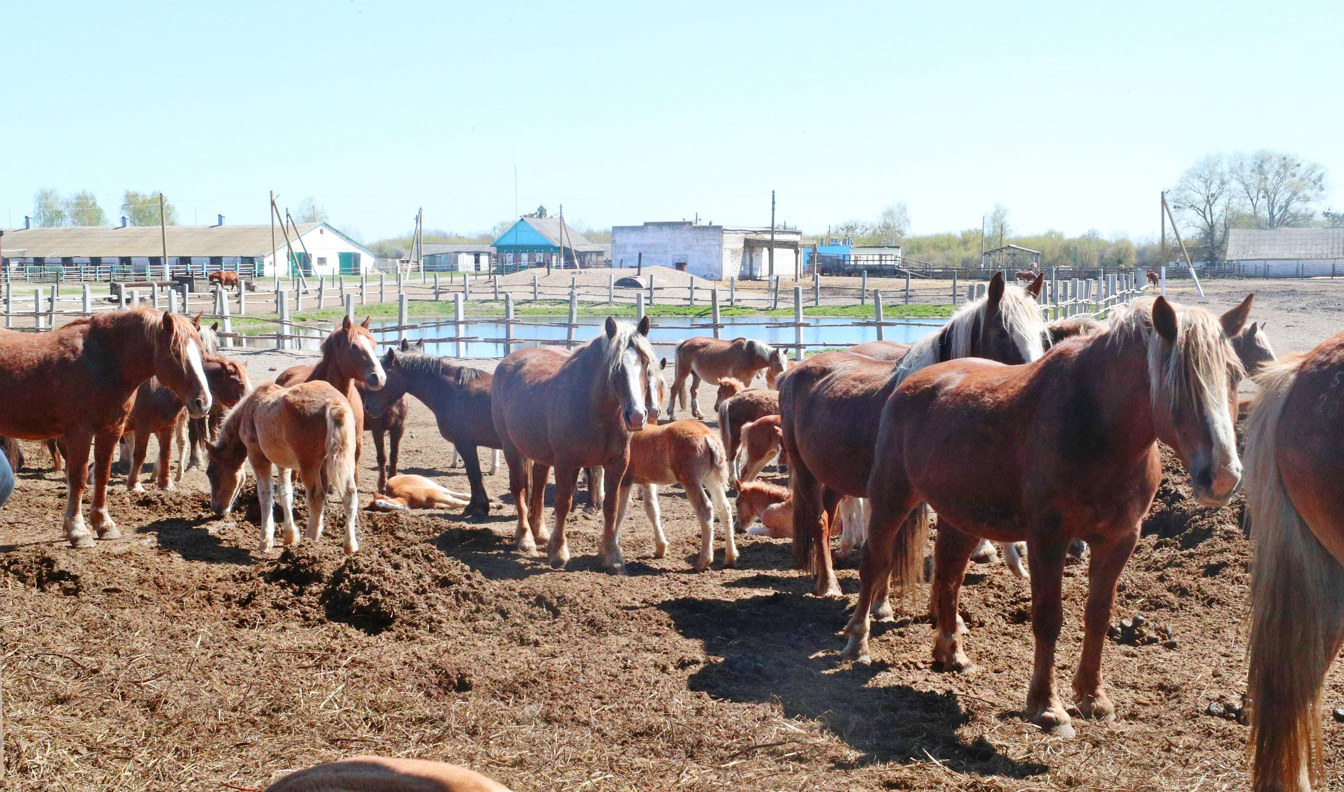 现场直击｜40年后，走进切尔诺贝利核禁区