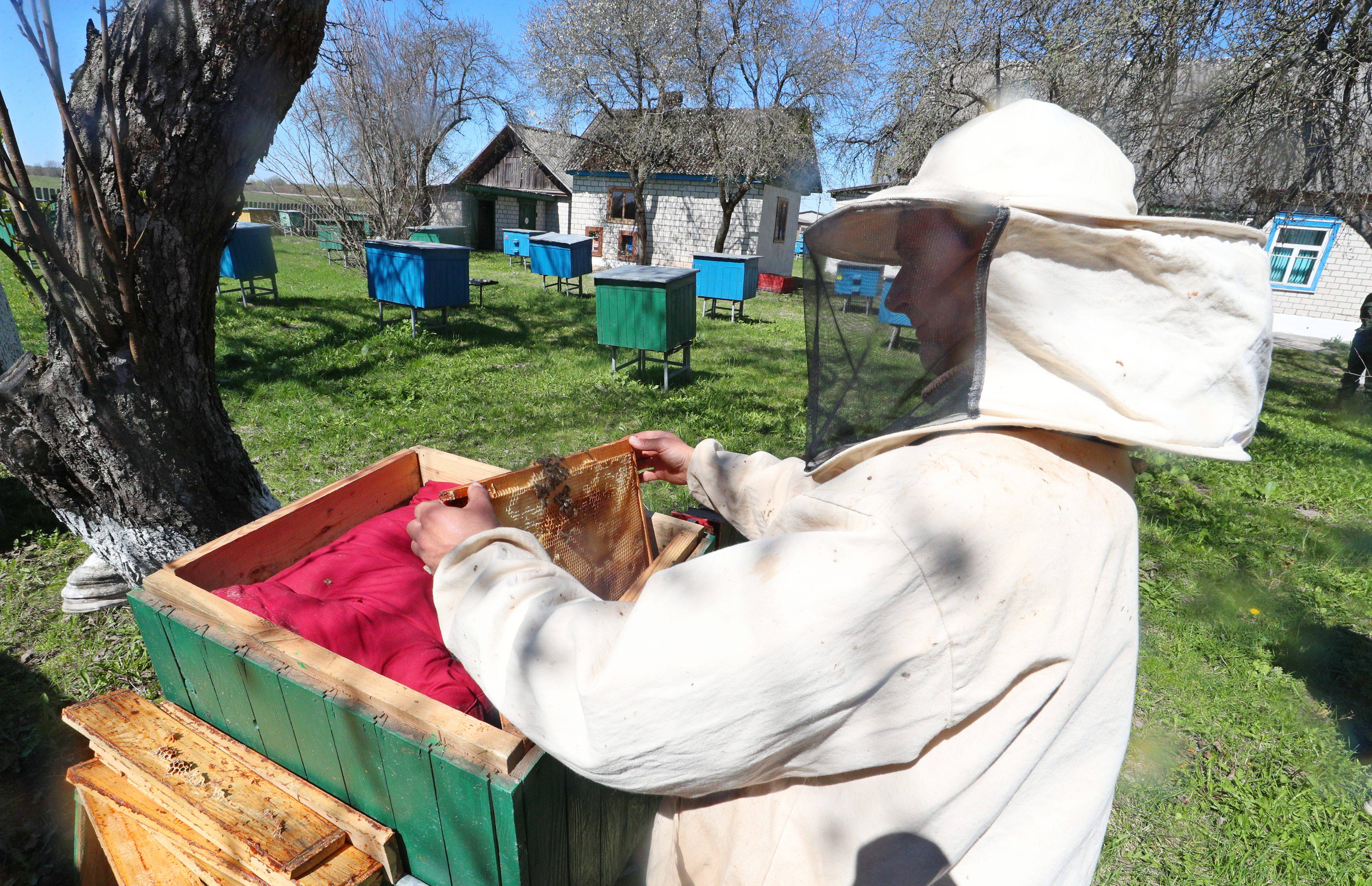 现场直击｜40年后，走进切尔诺贝利核禁区